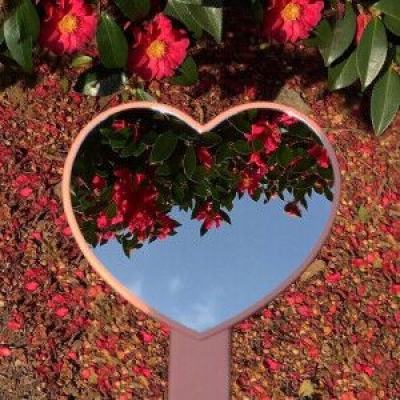 星空体育2024下载