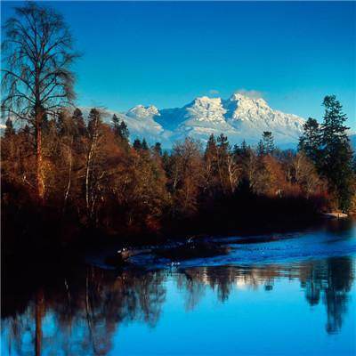 AG九游会app下载