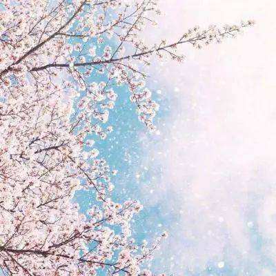 AG棋牌官方网站