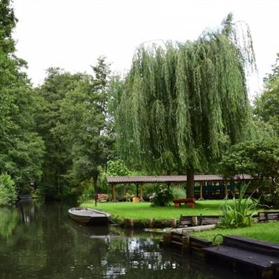 助赢软件app下载手机版