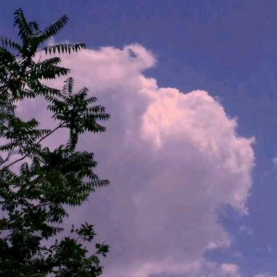 pg电子最新网站入口