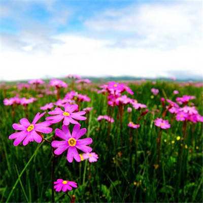 kaiyun全站APP登录官网