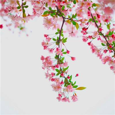 澳门mgm娱乐官网手机app下载