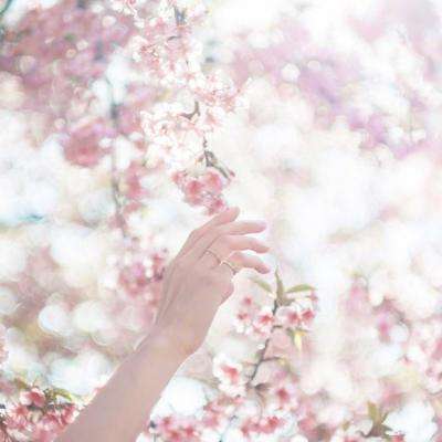 亚博足球外围软件